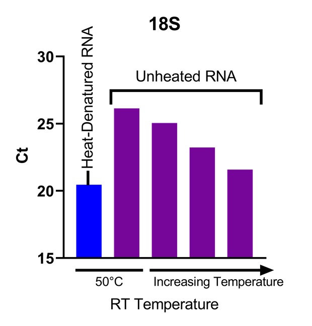 Graph showing that heat-tolerant UPRT can effectively reverse transcribe structurally-complex, partially heat-denatured ribosomal 18S RNA.