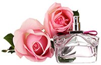 Perfume Roses Perfume Roses