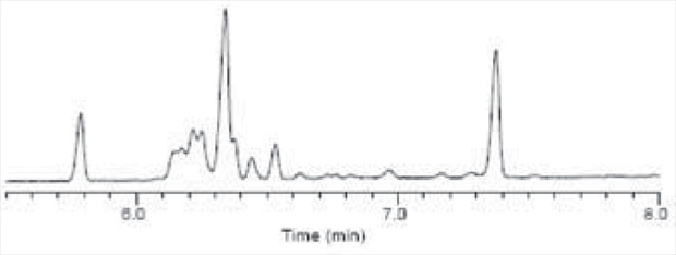 Temperature Programmed Analysis - 30 Two graphs - C18:1 Cis/Trans Isomers on the 0.10 mm I.D. SP-2560