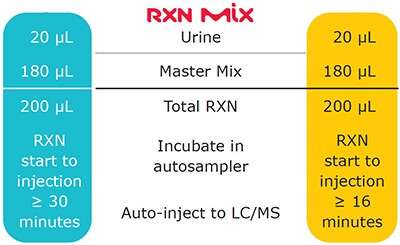 MS β-glucuronidase steps and workflow overview. MS β-glucuronidase steps and workflow overview.