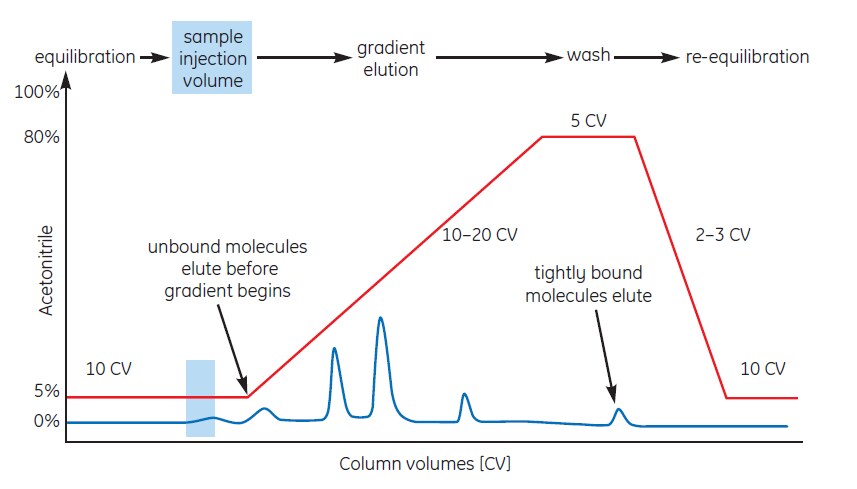 Typical RPC separation using gradient elution Typical RPC separation using gradient elution