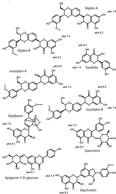article-b-figure-1 Structures of Known Biologically Active Silymarin Component