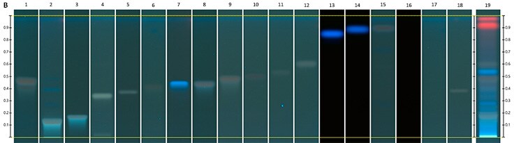 Chromatograms under UV Chromatograms under UV