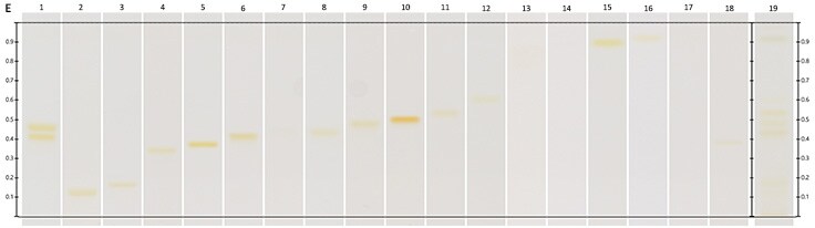Chromatograms under UV Chromatograms under UV