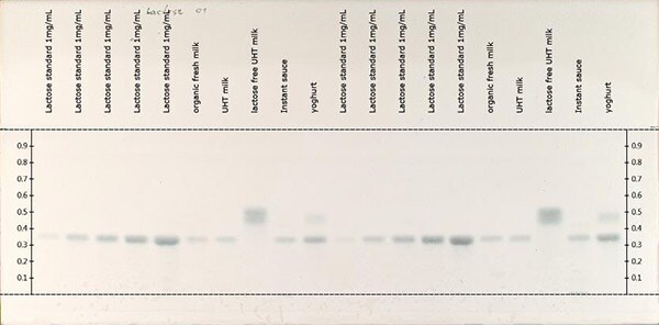 Derivatized plate under white light. Derivatized plate under white light.