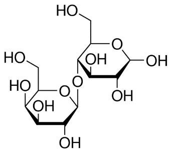 Lactose structure - A chemical structure diagram of a molecule with two six-membered rings and one five-membered ring, each containing oxygen atoms as part of the ring structure. The rings are connected by oxygen atoms, forming an ether linkage. Multiple hydroxyl (OH) groups are attached to the rings, indicating the molecule is a polyhydroxy compound, likely a carbohydrate or sugar. Lactose structure - A chemical structure diagram of a molecule with two six-membered rings and one five-membered ring, each containing oxygen atoms as part of the ring structure. The rings are connected by oxygen atoms, forming an ether linkage. Multiple hydroxyl (OH) groups are attached to the rings, indicating the molecule is a polyhydroxy compound, likely a carbohydrate or sugar.