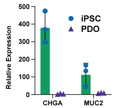 RNAseq for colon organoids