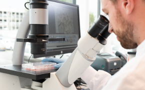 Lab scientist looking through a microscope A lab scientist looking through a white-mount microscope in a lab setting.