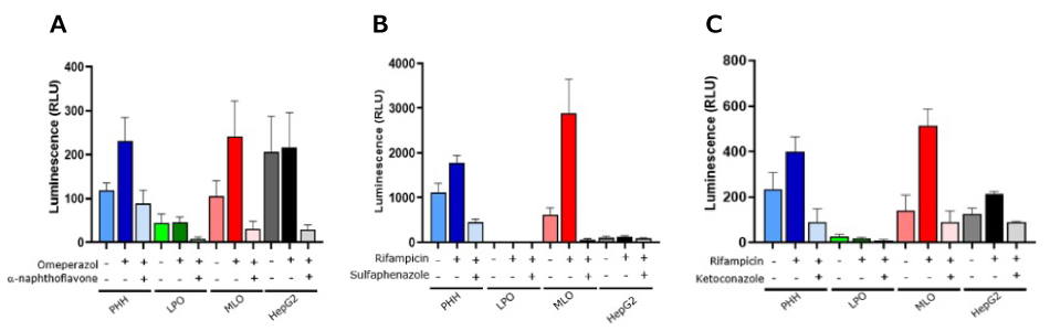 P450 Activity hree graphs indicating various levels of activity for three separate P450 enzymes in mature liver organoids. The mature liver organoids have comparable P450 activity to primary hepatocytes and HepG2 cells.