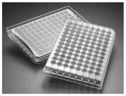 multiscreen-hts-well-filter-plate