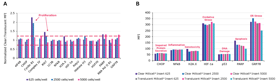 Normalized MFI with inserts Bar graph of normalized clear: translucent MFI values. The X axis is proliferation markers. For all three seeding densities (625, 2500, and 5000 cells/well) there is between 80-120% of equal values for most of the analytes. The normalized values were increased for several markers of proliferation (Cyclin B1 and Ki67) in cells grown in clear inserts starting with 625 cells/well compared to translucent wells.
