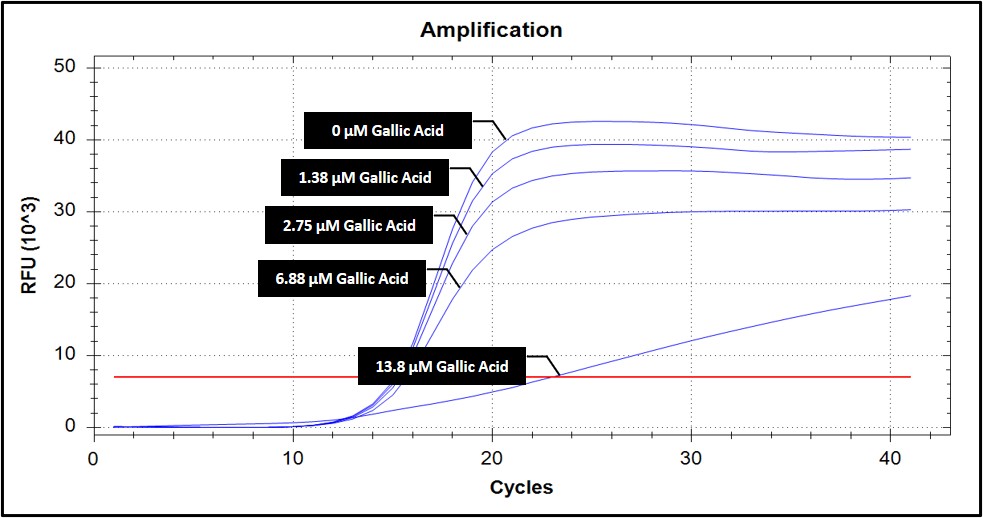 Spiking assay of gallic acid in qPCR.