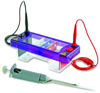 Horizontal Electrophoresis System