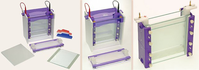 Vertical Electrophoresis System