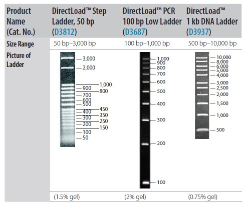 Resolution of DNA Size Standards Through Agarose Gel Resolution of DNA Size Standards Through Agarose Gel