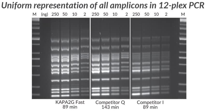 采用KAPA2G Fast多重PCR试剂盒、竞品Q和竞品I进行多重PCR（12重）。