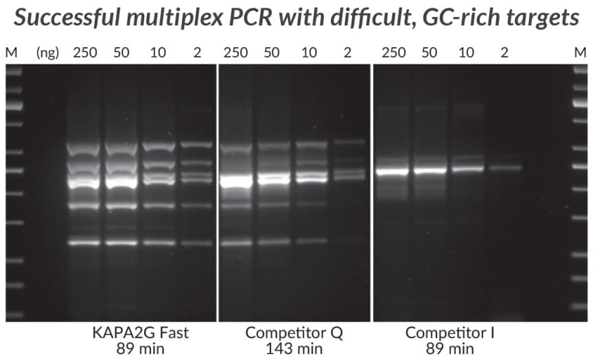采用KAPA2G Fast多重PCR试剂盒、竞品Q和竞品I进行高GC多重PCR（6重）。