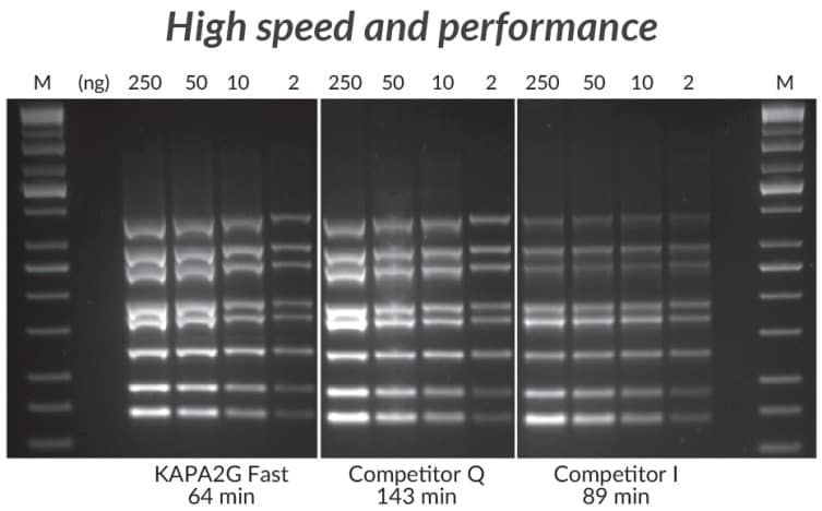采用KAPA2G Fast多重PCR试剂盒、竞品Q和竞品I进行多重PCR（8重）。
