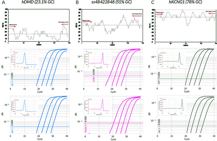 effect-of-cycling-protocols-on-efficiency-specificity Effect of Different Cycling Protocols