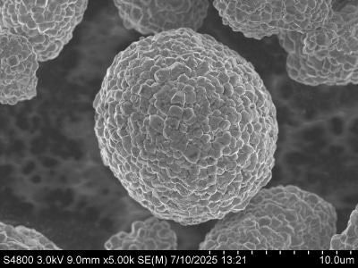 The images reveal spherical particles of varying sizes, with some exhibiting a smooth surface and others showing a more textured appearance, indicating differences in material composition and structure.