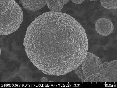 The images reveal spherical particles of varying sizes, with some exhibiting a smooth surface and others showing a more textured appearance, indicating differences in material composition and structure.