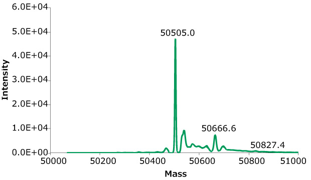 Exemplary deconvoluted SEC-MS spectra of rituximab from clones 8. The MS peak annotations correspond to glycoform glycans listed in Tables 7 and 8. Exemplary deconvoluted SEC-MS spectra of rituximab from clones 8. The MS peak annotations correspond to glycoform glycans listed in Tables 7 and 8.