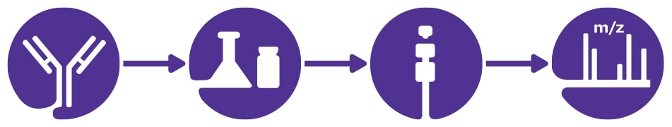 Image of workflow for antibody aggregate and fragment analysis.