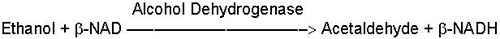 Alcohol Dehydrogenase Reaction