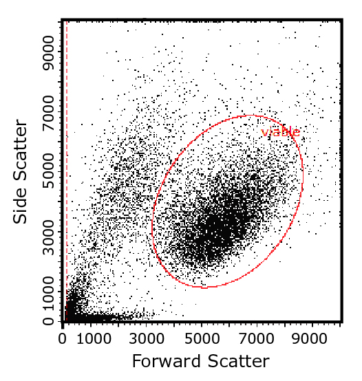 Two-Parameter Flow Cytometry Plot Flow cytometry plot showing how light-scattering characteristics of cells are used to identify cell populations of interest, here by their size and intracellular complexity.