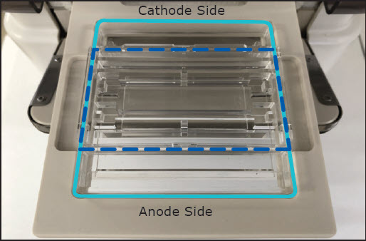 Auto2D® Chip and Tray Assembly 2-D gel electrophoresis PAGE Chip and Tray assembly