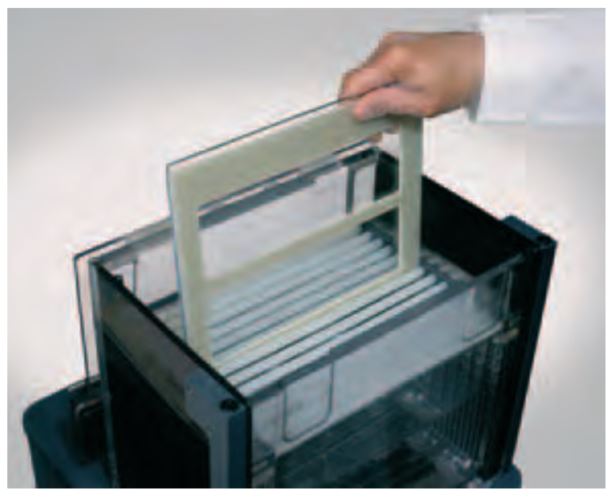 Inserting Gels into Ettan™ DALT Electrophoresis Units Loading the gel cassettes into Ettan™ DALTtwelve electrophoresis unit