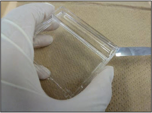 Marking of the Gel for Correct Orientation Mark the orientation of the gel with a small cut in one corner
