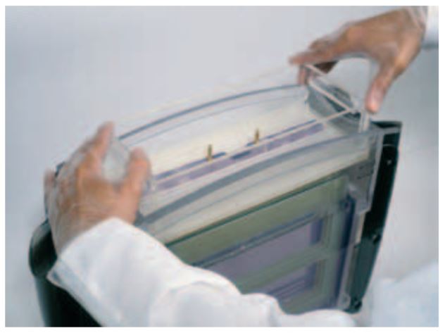 Inserting Gels into Ettan™ DALT Electrophoresis Units Seating the upper buffer chamber