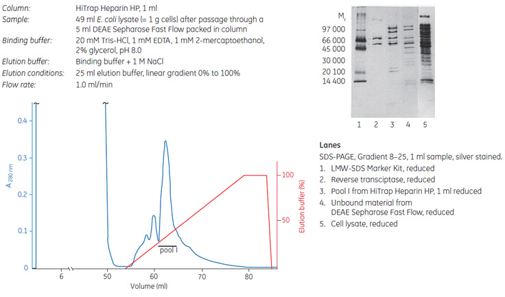 Purification or Removal of DNA-Binding Proteins