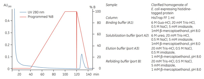On-column refolding of a histidine-tagged protein.