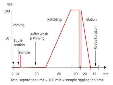 Theoretical gradient in On-column Refolding HisTrap Application Template
