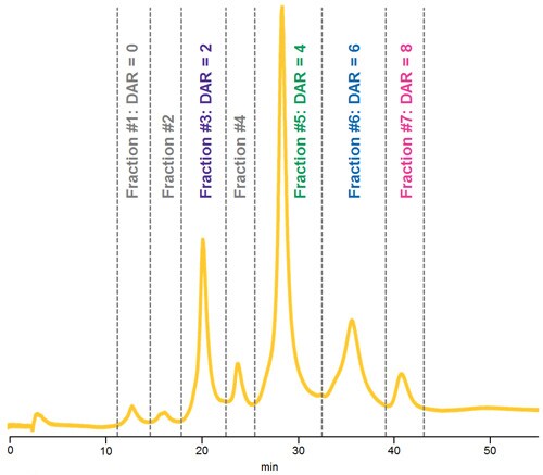 HIC separation of native ADC Mimic demonstrating fractions collected for LC-UV-MS analysis