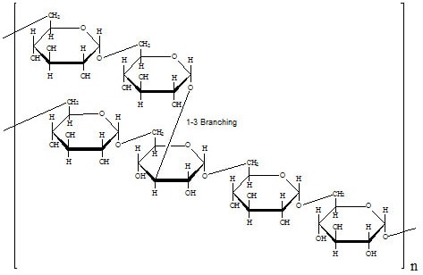 Specific Rotation Specific Rotation