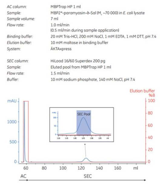 Automated purification of MBP2 Automated purification of MBP2