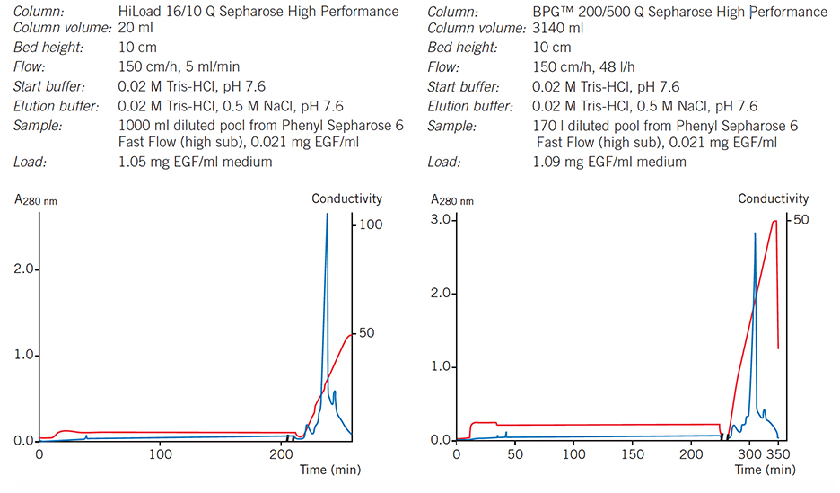 Elution pattern, purity and yield are maintained when scaling-up from a HiLoad column to a BPG column Elution pattern, purity and yield are maintained when scaling-up from a HiLoad column to a BPG column