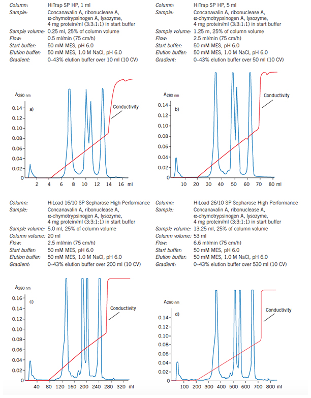 Reproducibility maintained as purification is scaled up from a 1 ml HiTrap column through to a 53 ml HiLoad 26/10 SP Sepharose High Performance column Reproducibility maintained as purification is scaled up from a 1 ml HiTrap column through to a 53 ml HiLoad 26/10 SP Sepharose High Performance column