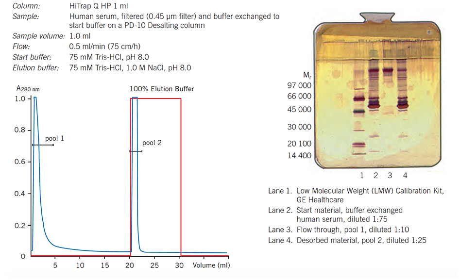 Separation of IgG from human serum proteins on HiTrap Q HP, 1 ml, using one step elution Separation of IgG from human serum proteins on HiTrap Q HP, 1 ml, using one step elution