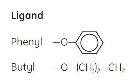 Ligands are coupled to the Sepharose® High Performance matrix via uncharged, chemically stable O-ether linkages