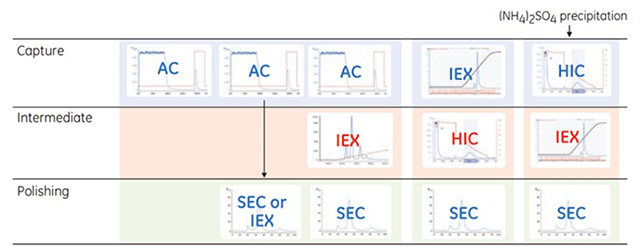 Examples of logical combinations of chromatography steps.