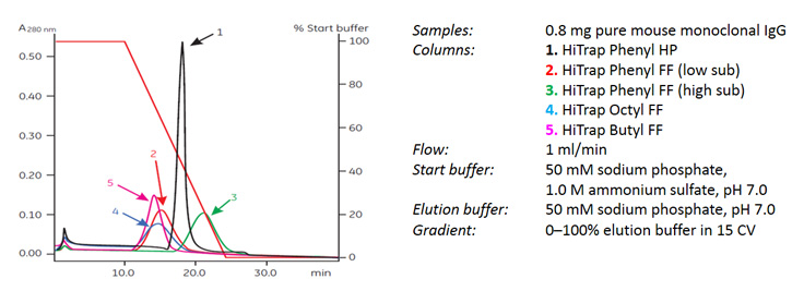 Media screening for monoclonal antibody purification