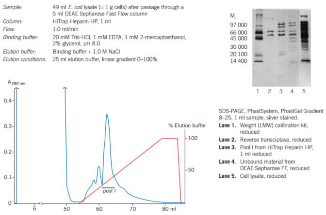 Partial purifcation of recombinant HIV-reverse transcriptase on HiTrap Heparin HP. Partial purifcation of recombinant HIV-reverse transcriptase on HiTrap Heparin HP.