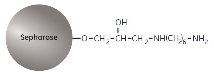 partial-structure-of-eah partial structure of eah