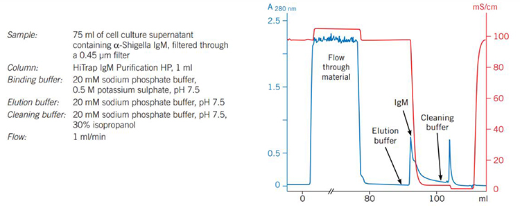 Purifcation of α-Shigella IgM on HiTrap IgM Purification HP Purifcation of α-Shigella IgM on HiTrap® IgM Purifcation HP.