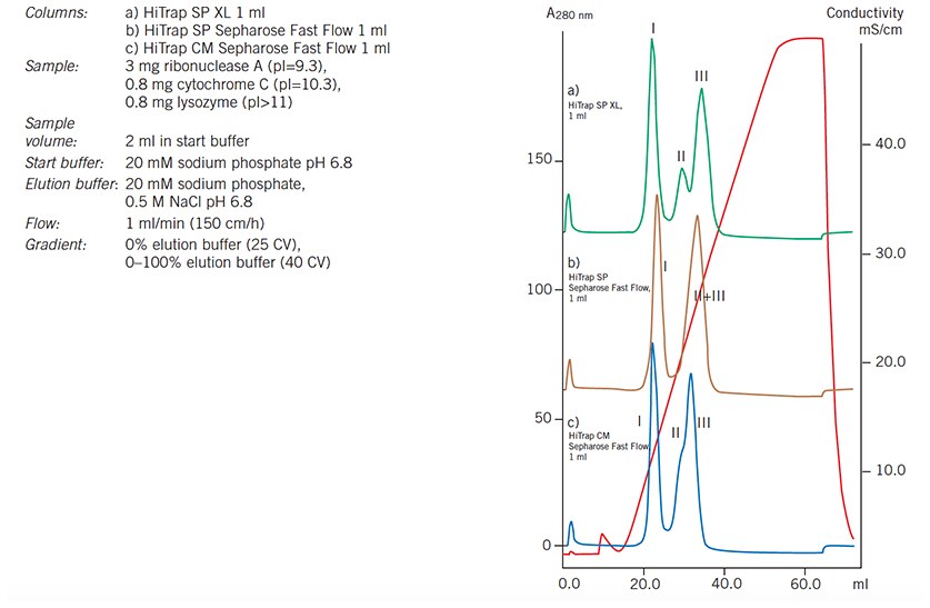 Media scouting: separation of ribonuclease A Media scouting: separation of ribonuclease A