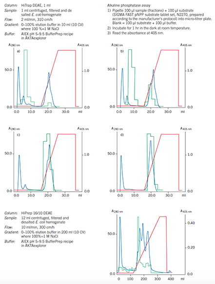 Optimization and scale up on DEAE Sepharose Fast Flow Optimization and scale up on DEAE Sepharose Fast Flow